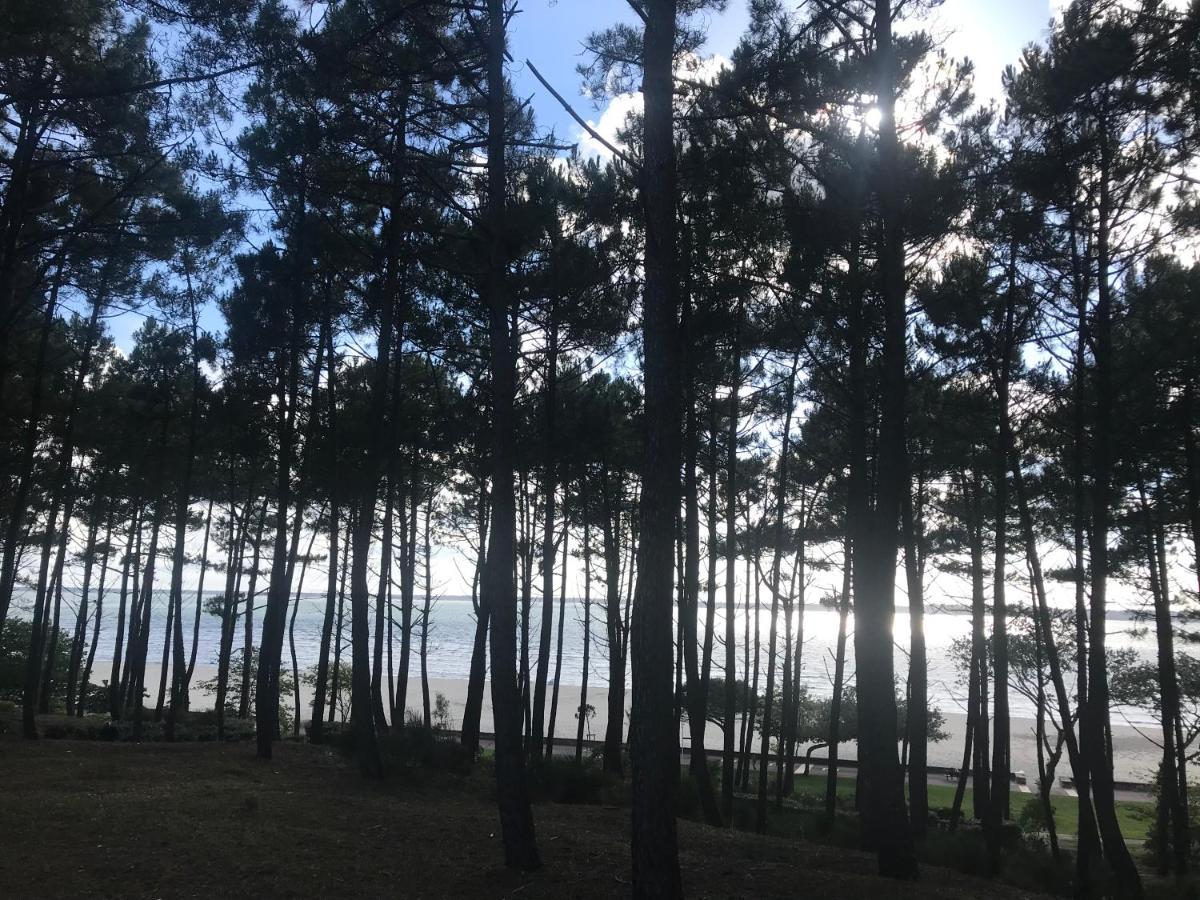 Arcachon Pereire Bord De Plage Экстерьер фото